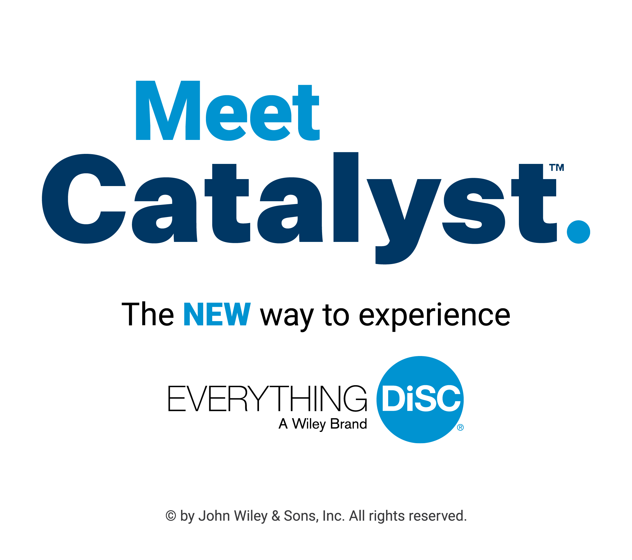 Everything Disc Catalyst Disc Profiling Systems In New Zealand Disc